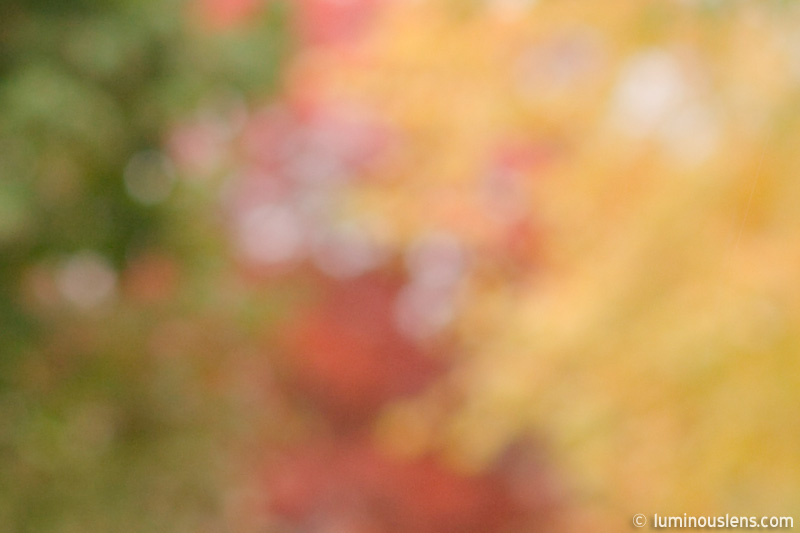 Beautiful Bokeh