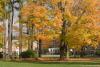 Autumn on Campus