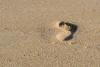 Footprints