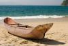 Abandoned Canoe