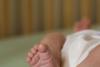 Little Toes