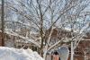 Giant Snowball