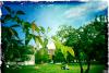Spring Afternoon
